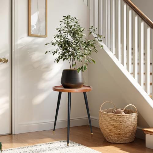 KINNARY Plant Stand Indoor, Mid Century Wood Plant Table Plant Holder with Raised Design,Heavy Duty Metal Tall Flower Pot Stand, Modern Home Decor Small Round Side End Table(11.8"x16") - color: Walnut 11.8"x16"（raised design）