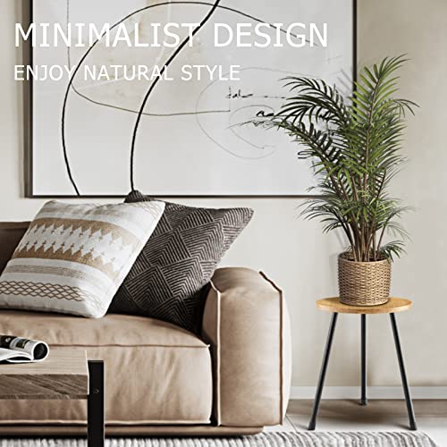 KINNARY Indoor Plant Stand, Mid Century Wood Plant Stand Plant Table for Flower Pots, Tall Metal Plant Holder, Modern Home Decor Small Round Side End Table (11.8"x16") - color: Light wood 11.8"x16"