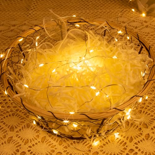 Fairy Lights Plug in,328FT 1000LEDs Waterproof Led String Lights,8 Modes Remote Twinkle Light for Outdoor Indoor Christmas Wedding Birthday Garden Party Decorations,Silver Wire,Warm White - color: Warm White, size: 328FT 1000Leds