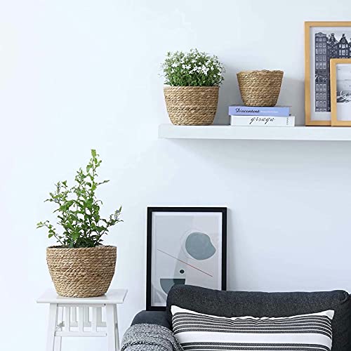 Seagrass Planter Basket 3 Set Handmade Woven Basket Indoor Outdoor Storage Basket Flower Pot Container with Waterproof Plastic Liner for Houseplants Succulents Orchid Modern Home Decor Brown