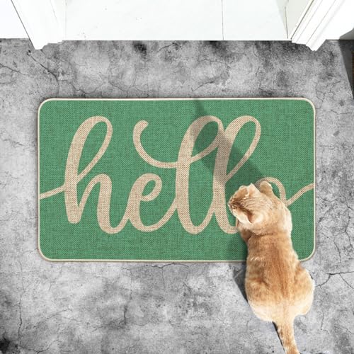 Artoid Mode Aqua Turquoise Hello Summer Doormat, Spring Home Decor Low-Profile Switch Rug Door Mat Floor Mat for Indoor Outdoor 17x29 Inch - color: Aqua, size: 17" x 29"