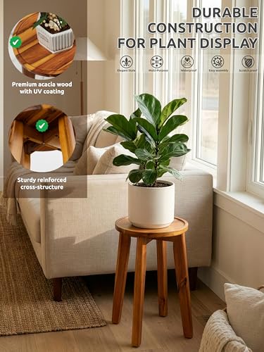 Demigo 15-Inch Tall Plant Stand for Indoor & Outdoor Use, Acacia Wooden Decorative Plant Shelf with Spill-Proof Tray, Flower Holder for Heavy Pots, Gardening Display - Natural Brown - color: Natural Acacia, size: Tall