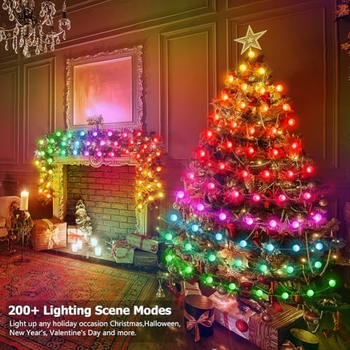 66ft Globe String Lights, 133 LED RGB Color Changing String Fairy Lights, Smart APP & IR Remote Control, 200+ Scene Modes for Bedroom Backdrop Indoor Outdoor Christmas Decorations - size: Globe - 66ft