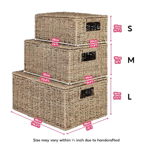 Wicker Storage Baskets with Lid, Hand-Woven Rectangular Wicker Basket with Lid for Bedroom & Living Room, Nesting Rattan Basket with Lid for Shelves (Seagrass, Set of 3）