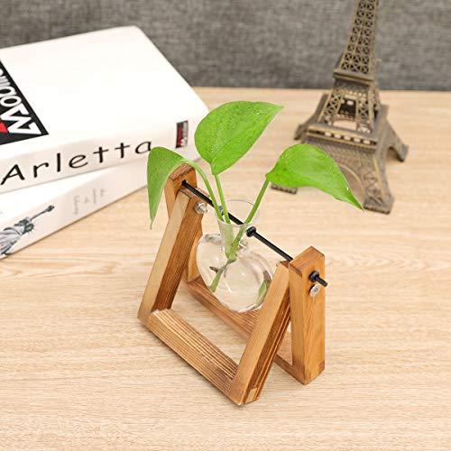 Kingbuy Terrarium with Wooden Stand, Desktop Propagation Station, Air Plant Holder, Metal Swivel Holder for Hydroponics, Home Garden, Wedding Decor - 1 Hearted Vase - size: Heart 1 Bulb