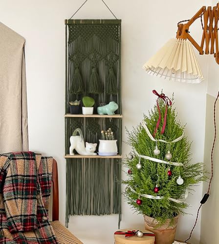 Flber Hanging Shelf Macrame Wall Hanging Green Boho Shelfs with Tassels 2 Tier Floating for Plants Bedroom Dorm Living Room Wall Decor Rustic Wooden Organizer(Wood) - color: Green1