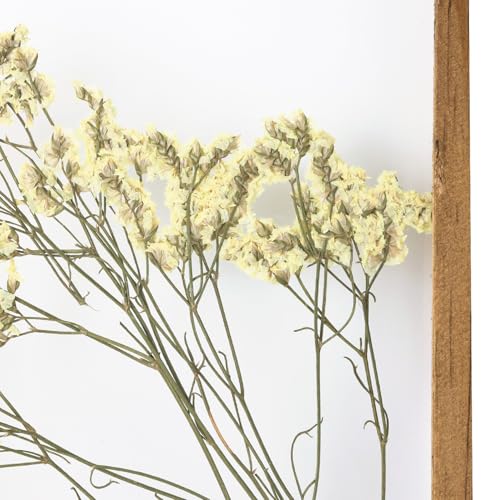 NIKKY HOME Dried Flowers Grass Wall Art Set of 2 Natural Plant Artwork with Clear Glass Display Frame and Jute Rope Gallery Wall Decor Living Room Decor