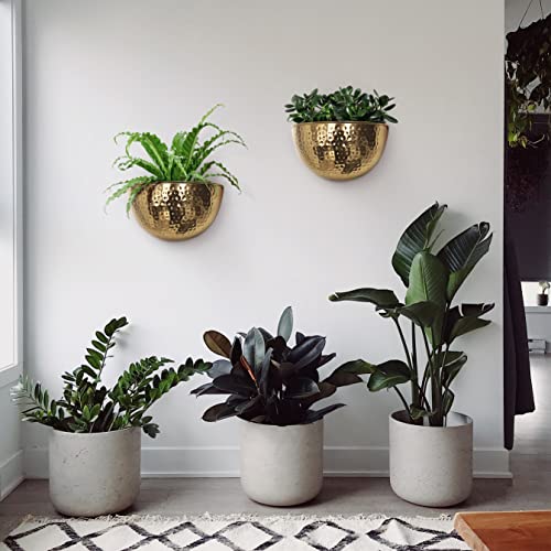 Allegorie Metal Wall Planter | Indoor or Outdoor Hanging Plant Pot | Farmhouse Decor & Boho Kitchen Decoration for Herbs & Succulents and Living wall 12x7 (Gold) - color: Gold