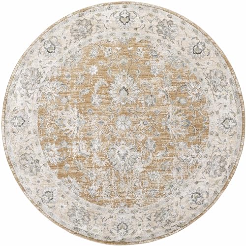 Hauteloom Borah Area Rug - Floral Border Medallion Damask Distressed - Traditional Oriental Transitional Oushak Farmhouse - Light Brown, Cream, Medium Brown, Tan, Gray - 2' x 2'11" - color: Light Brown, Cream, Medium Brown / Kerem, size: 1'11" x 2'11" (Re