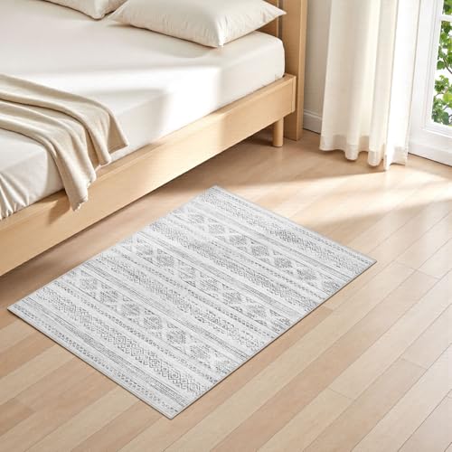Tortania Area Rug Living Room Rugs - 2x3 Washable Soft Neutral Boho Moroccan Farmhouse Mat Indoor Floor Carpet for Bedroom Under Dining Table Home Office Decor - Ivory Gray - color: Ivory Gray, size: 2' x 3' (Rectangular)