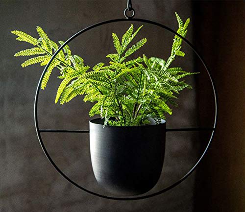 RISEON Boho Black Metal Plant Hanger,Metal Wall and Ceiling Hanging Planter, Modern Planter, Mid Century Flower Pot Plant Holder, Minimalist Planter for Indoor Outdoor Home Decor - color: Black, size: Round shape