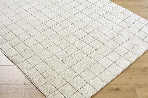 Hauteloom Glint Living Room, Bedroom Area Rug - Checkered Geometric Square Grid - Bohemian Transitional Modern Minimalist Contemporary - High Pile - Ivory, Taupe, Neutral, Cream, Beige - 6'7" x 9' - color: Ivory, Taupe / Alison, size: 6'7" x 9' (Rectangul