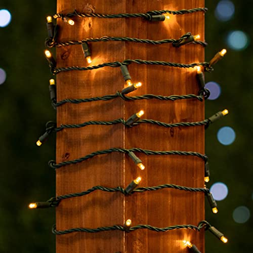 Novelty Lights 25ft 50 LED Yellow Christmas Lights Outdoor/Indoor, 6" Spacing, Green Wire String Lights for Festive Xmas Lighting, IP55, UL Listed, Dimmable, Connectable - color: Yellow
