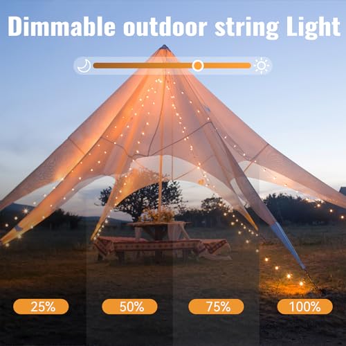 WERTIOO Globe String Lights Battery Operated – 33ft 100 LED Globe Lights with Remote, 8 Modes & Timer – Warm White String Lights for Bedroom, Christmas Tree, Garden, Tent, Camping, Indoor & Outdoor - color: Warm White-33ft