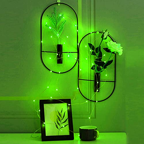 Ariceleo Mini St. Patrick's Day Fairy Lights Battery Operate, 1 Pack Copper Wire 3*AAA Battery Powered Led Starry Fairy String Lights for Bedroom, Christmas, Party, Wedding, Decoration(5m/16ft Green) - color: Green, size: 1 Pack