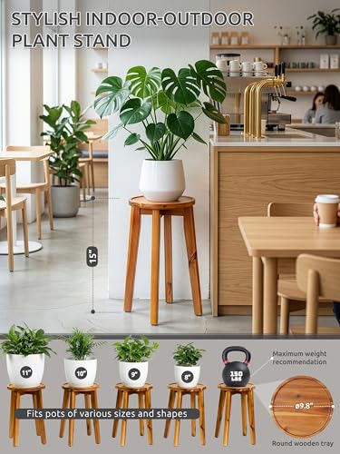 Demigo 15-Inch Tall Plant Stand for Indoor & Outdoor Use, Acacia Wooden Decorative Plant Shelf with Spill-Proof Tray, Flower Holder for Heavy Pots, Gardening Display - Natural Brown - color: Natural Acacia, size: Tall