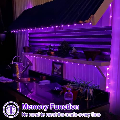QITONG Solar Fairy Lights Outdoor Waterproof, 2 Pack Each 66ft 200 LED Purple Christmas String Lights, Silver Wire Twinkle Mini Lights with 8 Modes - color: Purple