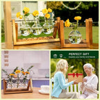 Kingbuy Plant Propagation Station, 3 Glass Bulb Vases with Wooden Stand | Boho Desktop Terrarium, Hydroponics, Home Office Window Sill Decor, Gift for Women Plant Lovers - size: 3 Bulb Vase