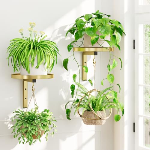 iDavosic.ly Wall Plant Holder Set of 2 for Indoor Outdoor, Metal Hanger with 2 Hooks, Floating Flower Display Stand for Window, Space Saving & Easy to Assemble (Pots/Chains/Plants Not Included), Gold - color: Gold, size: 2 Pack