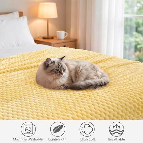 Vessia Flannel Fleece Twin Size Blanket(60x80 inch), 3D Jacquard Light Yellow Fuzzy and Warm Blanket for Couch,Sofa, 300GSM Super Soft Touch Cozy Lightweight Bed Home Decor for All-Season - color: Light Yellow-3d, size: 60x80 inch