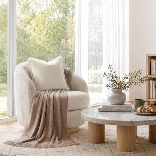 HOMEIDEAS Ivory Cream Velvet Throw Pillow Covers 24x24 Set of 2, Luxury Decorative Pillow Covers with Short Fringe Tassels, Modern Farmhouse Boho Cushion Covers for Sofa Couch Bed Neutral Home Decor - color: Cream, size: 24" x 24" (Pack of 2)
