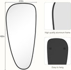 WallBeyond Asymmetrical Mirror, Irregular Wall Mirror, Wall Mirrors Decorative for Bedroom Living Room entryway Hall, Wall Mirror for mid Century Modern Decor 48" H x 22" W, Black