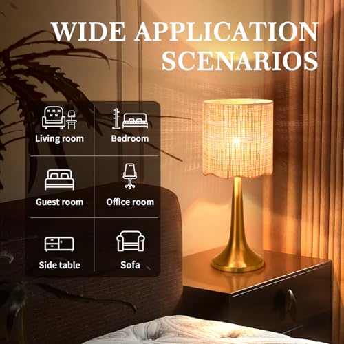 Ziqqeelam Gold Rattan Table Lamp for Bedroom, Brass Cute Wicker Lamps for Bedside Nightstand, Small Table Shape Lamps for Small Spaces for Kitchen Counter, Home Office, Living Room, Kids Dorm - color: Gold