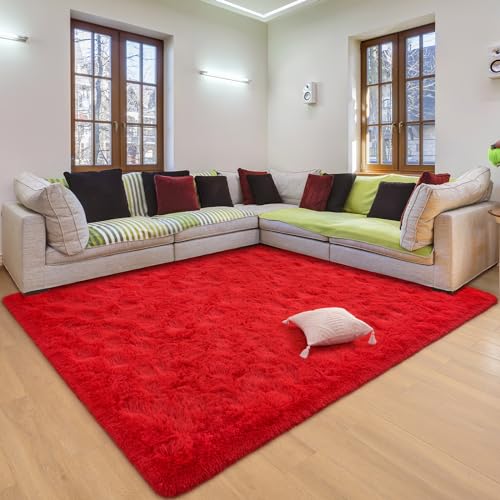 DETUM Red Living Room Rug 5X8 Area Rug Red Christmas Rugs for Bedroom Master Room Dining Dorm Kids Room Machine Washable Nonslip Carpets Soft and Fluffy Modern Home Decoration - color: Red, size: 5 x 8 Feet