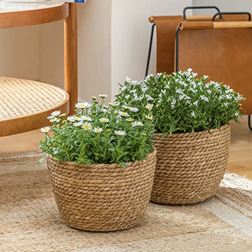 La Jolíe Muse Seagrass Planter Basket Indoor, Flower Pots Cover, Plant Containers, Natural, 3-Pack - color: Brown