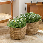 La Jolíe Muse Seagrass Planter Basket Indoor, Flower Pots Cover, Plant Containers, Natural, 3-Pack - color: Brown