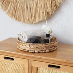 Kingwillow Small Handwoven Water Hyacinth Round Tray, Decorative Fruit & Servicing Basket for Centerpiece, Coffee Table, Dining & Home Decor