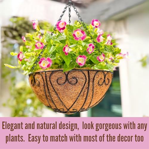 LaLaGreen Hanging Baskets for Plants (10 Inch, 2 Pack) Small Hanging Flower Pots with Coco Liner, Black Metal Wire Round Plant Holder with Hanger Hook Chain Outdoor Deck Patio Balcony Garden Decor - size: 10" x 2 Pack