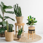 Plant Basket with Stand Indoor Planter Pot Holder Sturdy Jute Rope Modern Woven Basket, Cotton Rope Woven Pot with Bamboo Stand(7.87 Inch,Black and Beige Stripes) - color: Black and Beige Stripes, size: 7.87 Inch