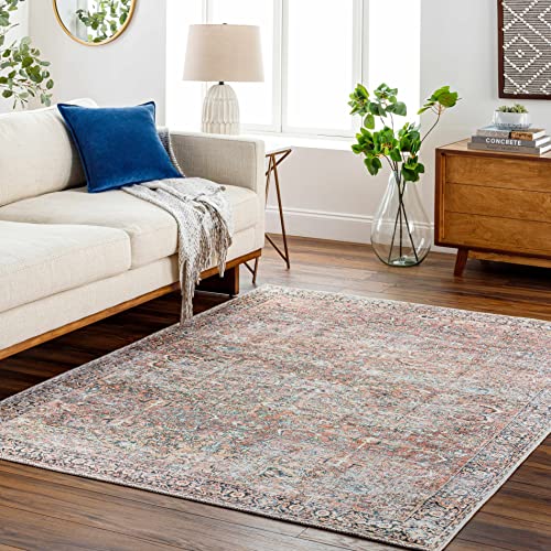 Hauteloom Handel Machine Washable Area Rug - Floral Border Medallion Distressed Faded - Traditional Oriental Transitional Oushak Vintage - Dusty Pink, Rust, Navy, Brown, Gray - 6'7" x 9' - color: Dusty Pink, Rust, Navy / Noda, size: 6'7" x 9' (Rectangular