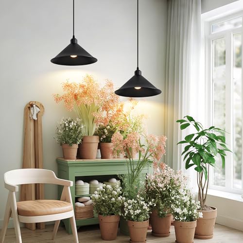 11.8IN Plug in Pendant Light, 2 Pack Industrial Hanging Lamp Black Vintage Pendant Lighting Fixtures with 15ft Cord On/Off Switch for Kitchen Island Dinning Hall, Bedroom - color: Black Plug in Pendant Light 11.8IN