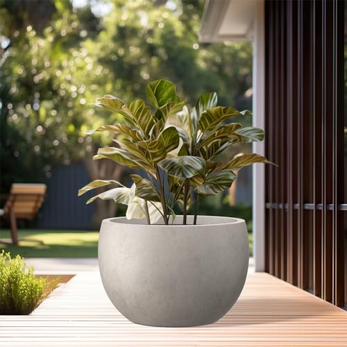 Kante 19.9" Dia Round Concrete Planter, Outdoor/Indoor Large Bowl Plant Pots with Drainage Hole and Rubber Plug for Garden Patio Balcony Home, Weathered Concrete - color: Weathered Concrete, size: 19.9" d