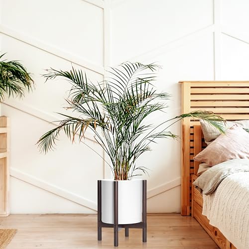 D'vine Dev Planter with Stand - 12 Inch Plastic Cylinder Flower Pot with Wood Holder for Indoor, Matte White Pot + Walnut Color Stand, 55-C-O-1 - color: Matte White Pot + Walnut Color Stand, size: 12 Inch