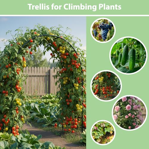 RUBFAC 7.8ft Metal Garden Arch Trellis for Climbing Plants Outdoor, Garden Arbors and Arches, Halloween Archway for Pumpkin Balloon Rose Vines Wedding Christmas Birthday Party Decorations, Army Green - color: green