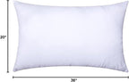 MIULEE Throw Pillow Insert Premium Pillow Stuffer Sham Rectangle Form for Decorative Cushion Bed Couch Sofa 20x36 Inch