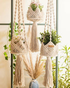 Sturdy Hidden Metal Ring and Natural Braided Cotton Cord Hippie Planters for Home Dcor Wall Hanging Planters (Single)
