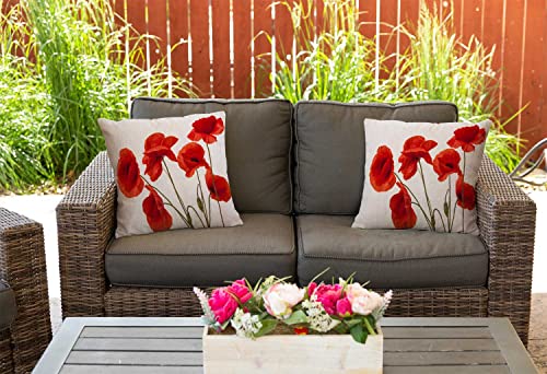 Throw Pillow Cover 16x16 Inch, Poppy Flowers White Poppy Red Beautiful White Beauty Bloom Blossom Double Sided Cotton Linen Square Throw Pillow Case Decorative Cushion Cover Pillowcase for Sofa - color: Multi 28