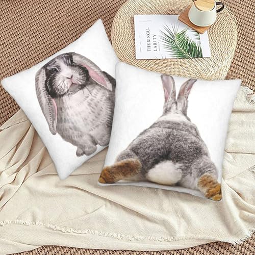 Easter Bunny Throw Pillow Covers 18 X 18 Inch Set of 2 Pillow Cases Decoration Cushion Cover for Sofa Bedroom Living Room Outdoor - color: Easter Bunny