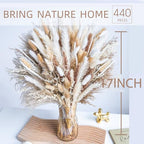440PCS Natural Dried Pampas Grass Boho Home Decor Bouquet Phragmites Dried Flowers Bouquet for Wedding Floral Arrangements Home Decorations (440PCS) - size: 440 Pcs
