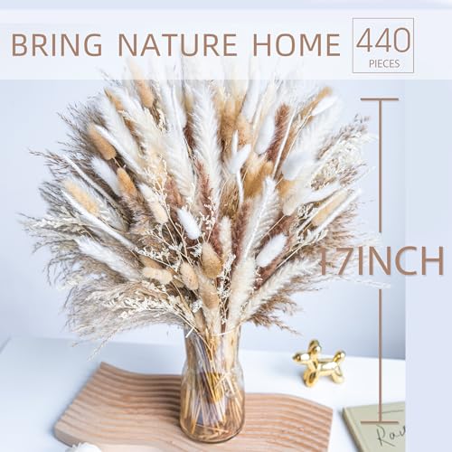 440PCS Natural Dried Pampas Grass Boho Home Decor Bouquet Phragmites Dried Flowers Bouquet for Wedding Floral Arrangements Home Decorations (440PCS) - size: 440 Pcs