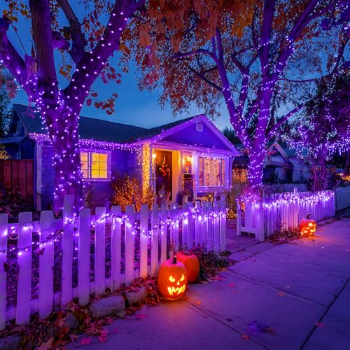 JMEXSUSS 2 Pack Solar String Lights Outdoor Waterproof, Total 400 LED 151FT Solar Christmas Lights Outdoor, 8 Modes Christmas Light for Outside Patio Yard Tree Decorations, Purple - color: Purple, size: 200LED*2