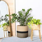 Plant Basket with Stand Indoor Planter Pot Holder Sturdy Jute Rope Modern Woven Basket, Cotton Rope Woven Pot with Bamboo Stand(10 Inch,Black and Beige Stripes) - color: Black and Beige Stripes, size: 10 Inch