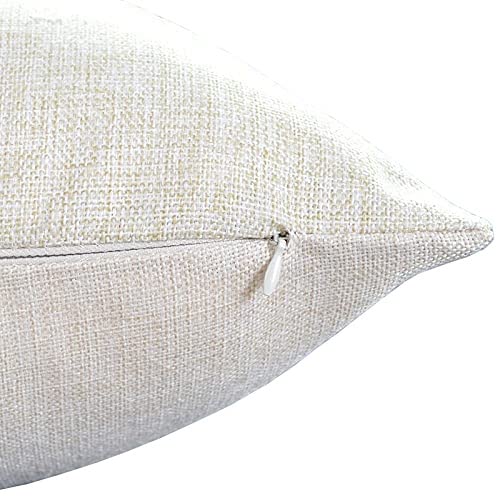 Cartoon Fish Whale Throw Pillow Cover 18 x 18 Inch, Cartoon Underwater Ocean Theme Sea Animal Nature Shark Turtle Decor Linen Cushion Cover for Sofa Couch Bed - color: Tss40
