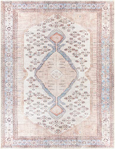 Hauteloom Stella Boho Vintage Oversized Area Rug - Farmhouse Traditional Medallion Carpet for Living Room - Machine Washable - Tan, Pink, Peach, Sage, Blue, Cream - 8'10" x 12' (9x12) - color: Aqua, Black, Blush / Moora, size: 8'10" x 12' (Rectangular)