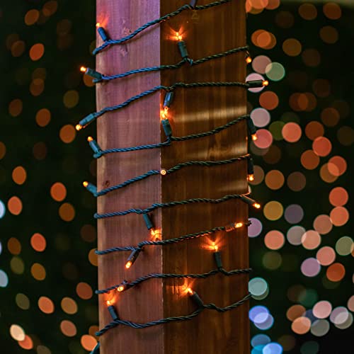 Novelty Lights 25ft 50 LED Amber Christmas Lights Outdoor/Indoor, 6" Spacing, Green Wire String Lights for Festive Xmas Lighting, IP55, UL Listed, Dimmable, Connectable - color: Amber