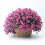 Small Basket Planter 7.1" x 5.9" Seagrass Containers, Hand Woven Wicker Cover Storage, Stylish Plastic Liners Straw Flower Jute Pots for Outdoor Indoor Use Mums Front Porch Room Decoration